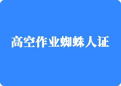 男人日女人皮黄色视频高空作业蜘蛛人证